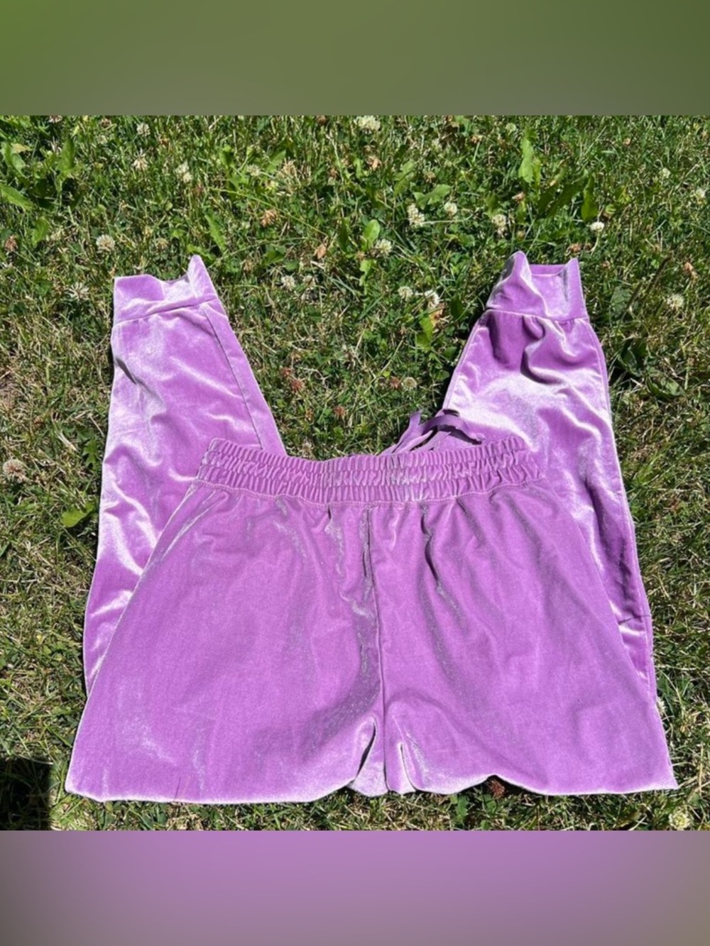 Plush Velvet Jogger Pants - Lavender
